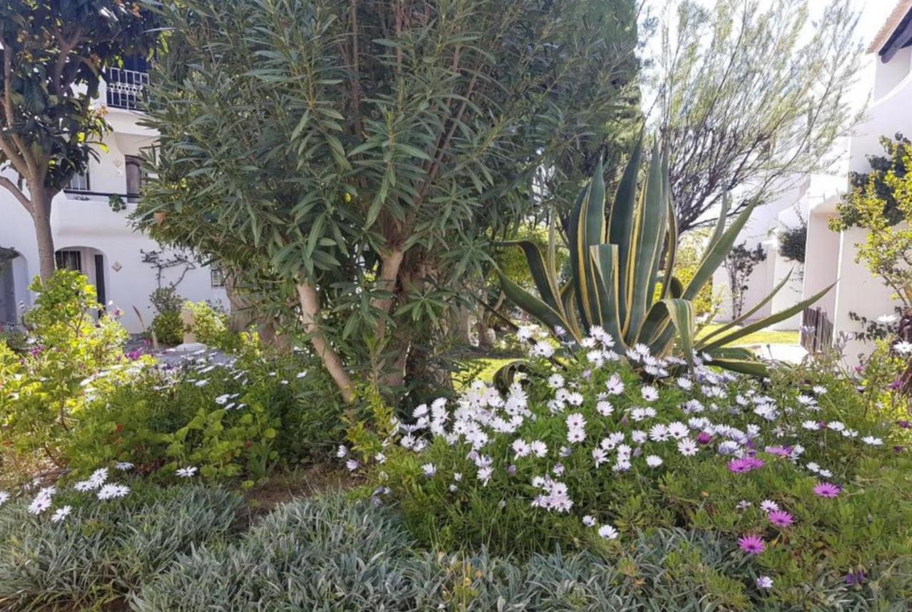 Apartment Sao Rafael Holidays Αλμπουφέιρα Εξωτερικό φωτογραφία
